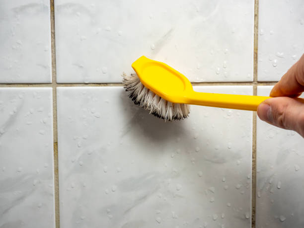 Best Toxic Mold Removal  in Cherokee, IA