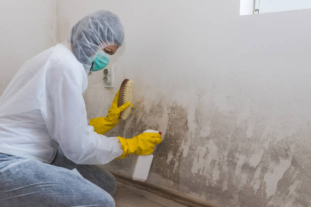 Water Damage Restoration in Cherokee, IA