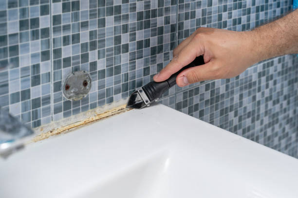 Best Water Damage Restoration  in Cherokee, IA